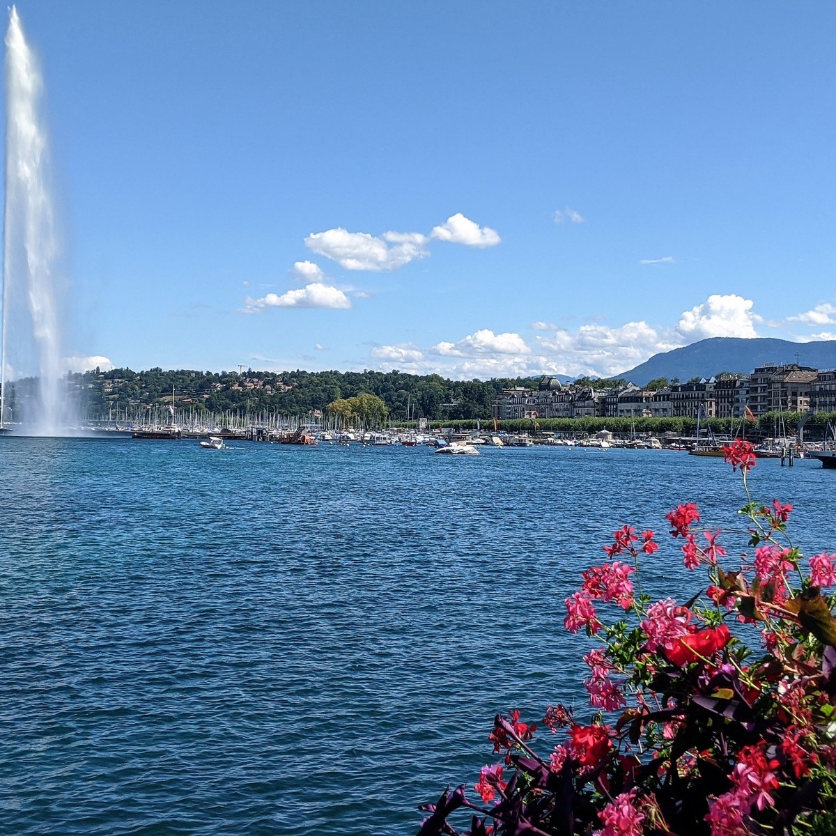 A Year in the&nbsp;Life