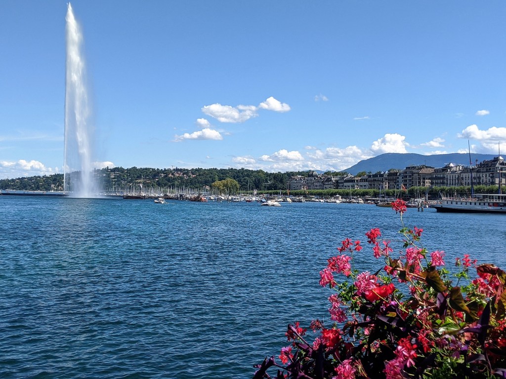 A Year in the&nbsp;Life