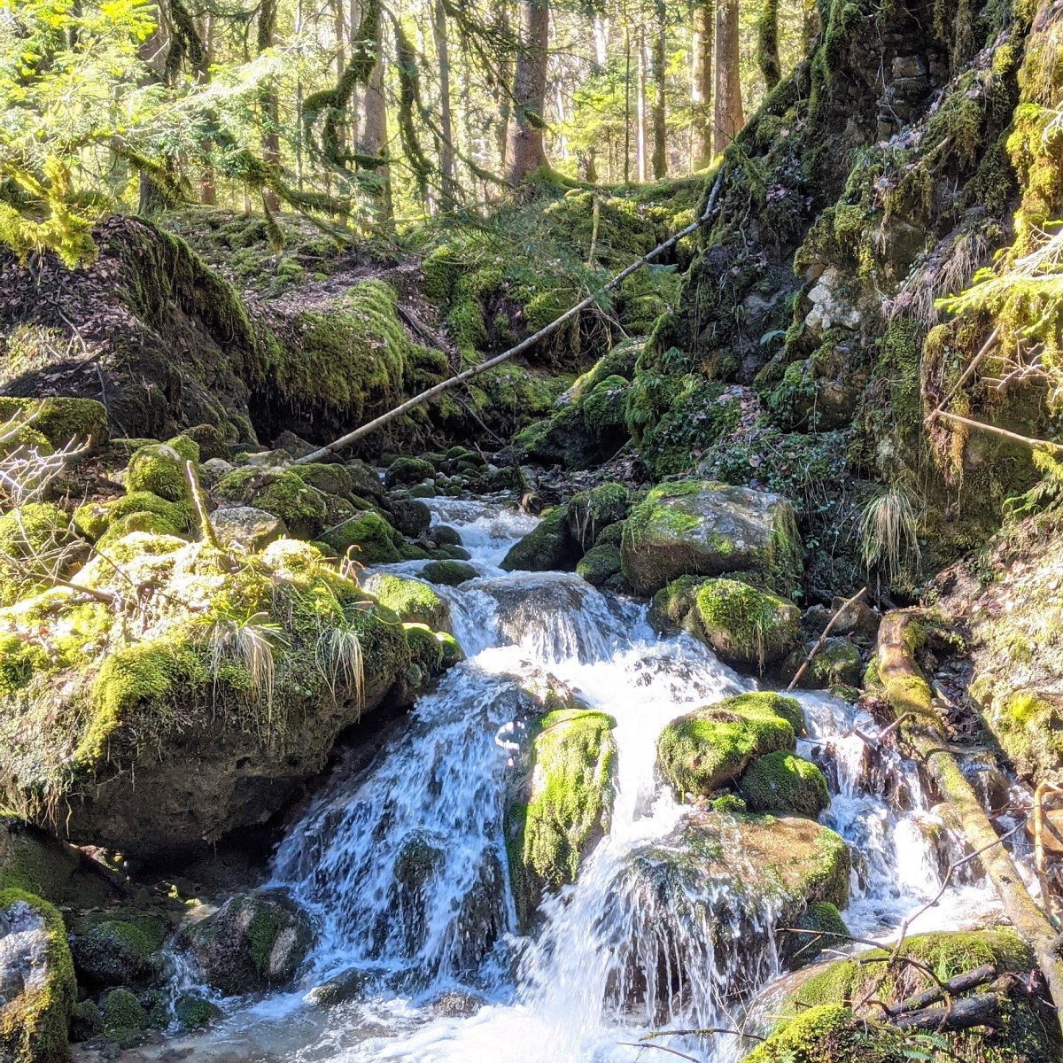 Signs of Spring in&nbsp;Montreux